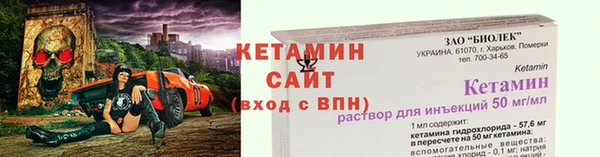 шишки Аркадак