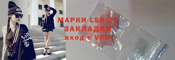 шишки Аркадак