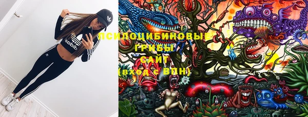 ПСИЛОЦИБИНОВЫЕ ГРИБЫ Баксан