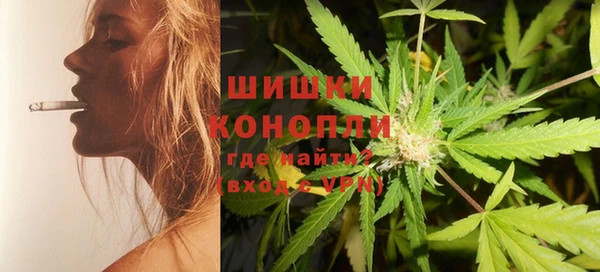 шишки Аркадак