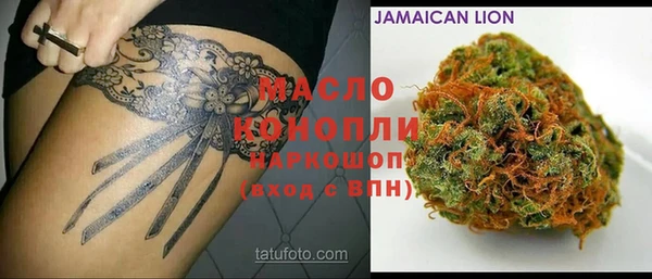 шишки Аркадак